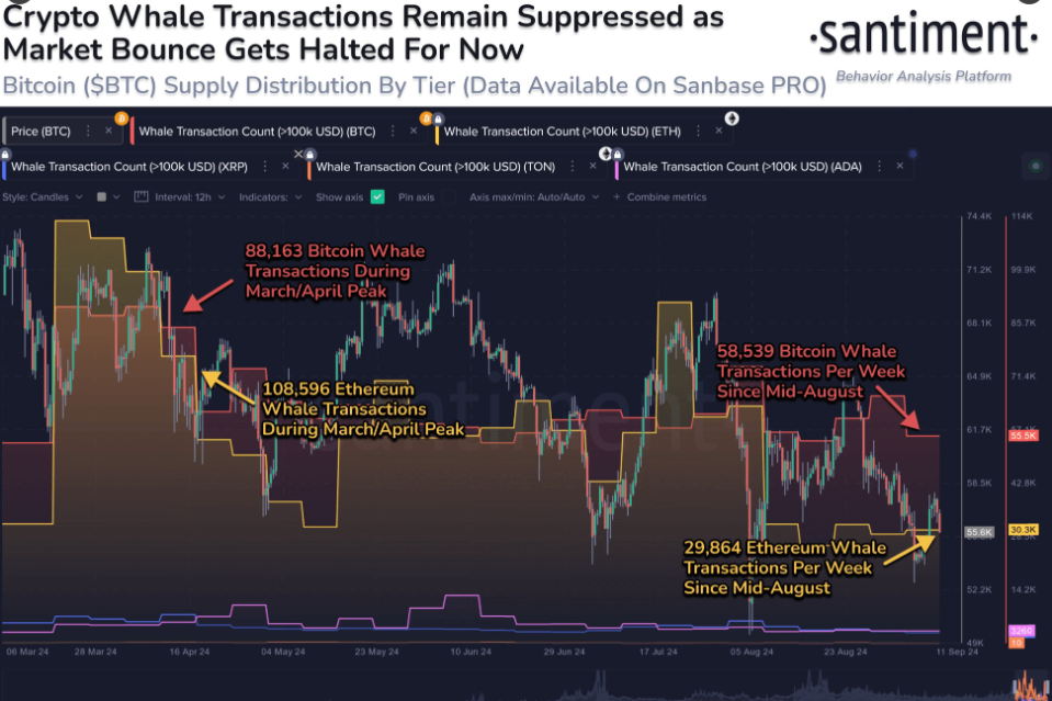 Siam Bitcoin 